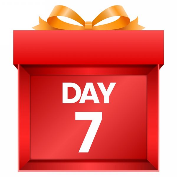 Day 7