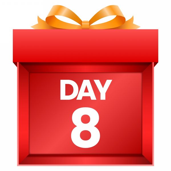 Day 8