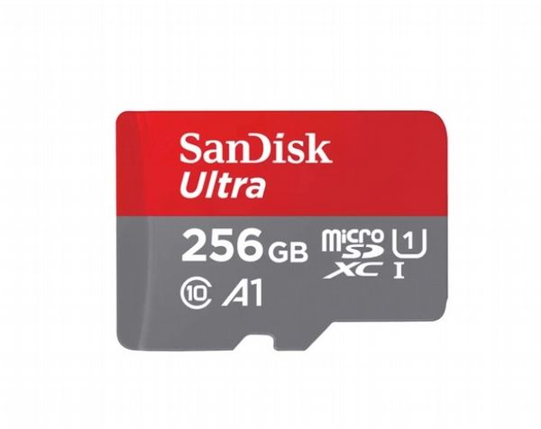 Sandisk FC 256GB Ultra MicroSD & SD